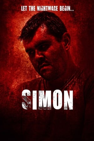 Simon (2016) Hindi Dual Audio HDRip 720p – 480p